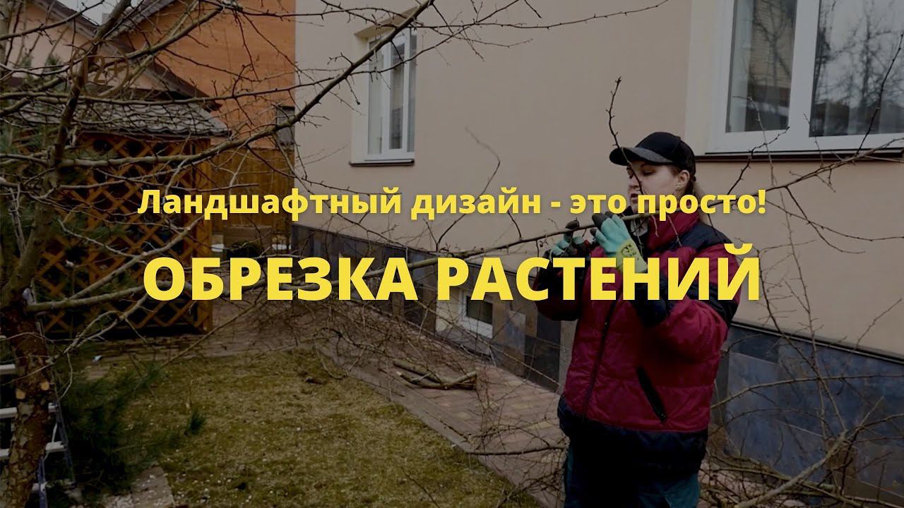 Обрезка растений   // Ландшафтный дизайн - это просто! / Сезон 1 //  Серия 11