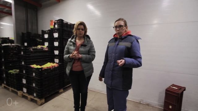 Как оптовики хранят посадочный материал смотреть онлайн