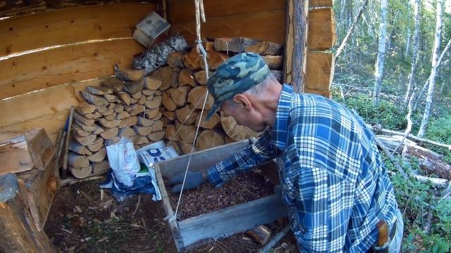 Кедровый орех смотреть онлайн
