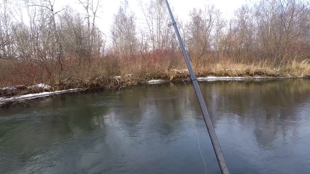 Рыбалка на ХАРИУСА в Ноябрьское ЗАТИШЬЕ/Я их нашел!!!/Желтая МУШКА кормит ХАРИУСОМ!!! смотреть онлайн