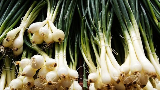 Флеш-карточки по методике Шичиды. Овощи и Зелень. смотреть онлайн