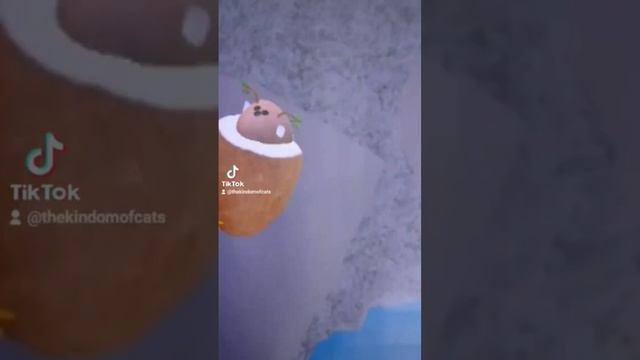 как получить кокосовый сет #roblox #мультик смотреть онлайн