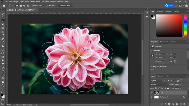 Selection Tool in Photoshop - What Is It? смотреть онлайн
