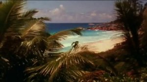 Тропические климатические пояса