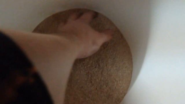 Дендробена. Что имеем сегодня смотреть онлайн