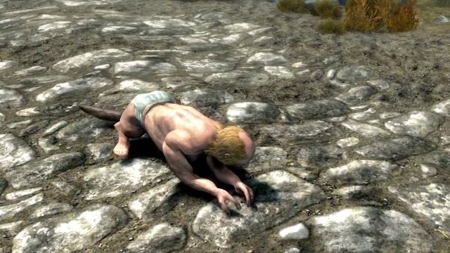 Скайрим - АБСУРДНЫЕ моды SKYRIM SPECIAL EDITION смотреть онлайн