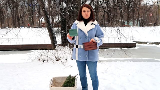 НОВОГОДНИЕ КОМПОЗИЦИИ СВОИМИ РУКАМИ: ПОЧУВСТВУЙ НАСТРОЕНИЕ ПРАЗДНИКА! | ИДЕИ НОВОГОДНИХ УКРАШЕНИЙ смотреть онлайн