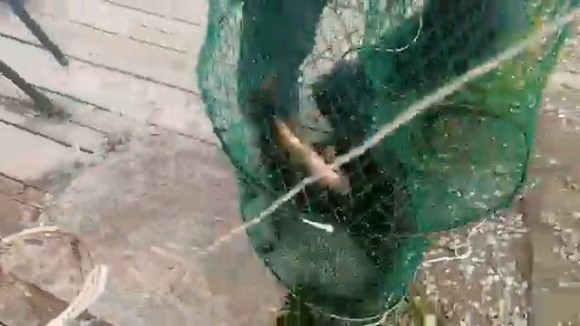 17:21 берег Клёвое место. смотреть онлайн