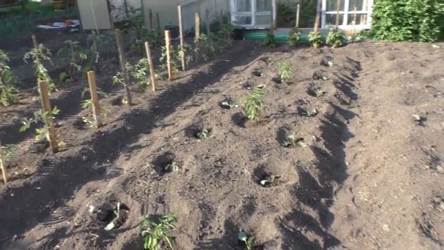 Уличные посиделки смотреть онлайн