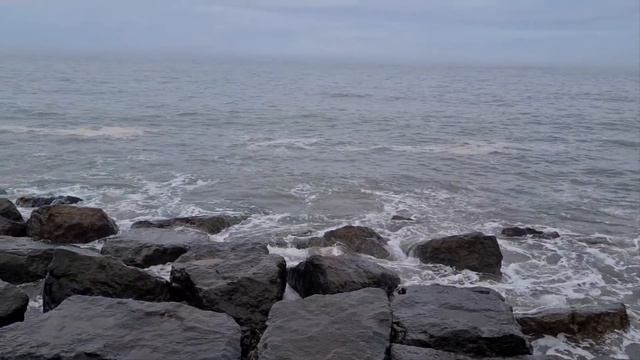 Красивые места Турции г Хопа ,Красавчик в центре события, режим ожидания очереди на границе