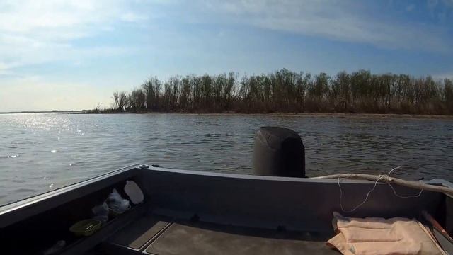 Сазаны. Слабый клев. Рыбалка на Амуре. смотреть онлайн