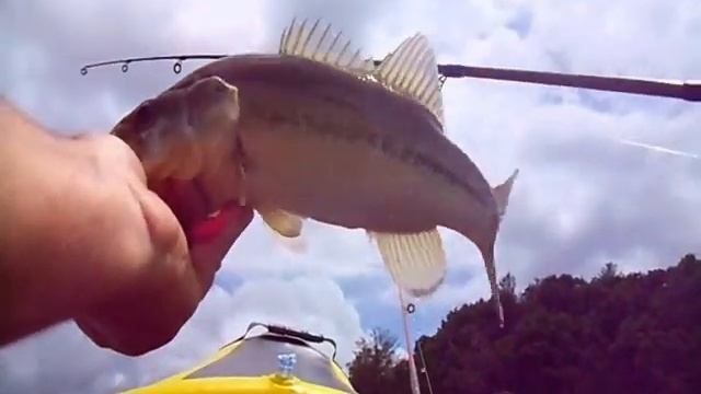 BASS FISHING-EXPLORER K2 KAYAK-STONE HOUSE LAKE STATE PARK -5/22/17-AMHERST VA.-BY: EDWARD TYREE смотреть онлайн