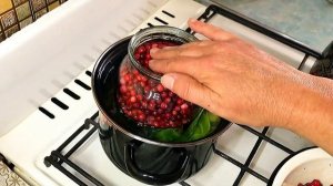 Томленая брусника на зиму/ Чищу и томлю бруснику/Топленая брусника