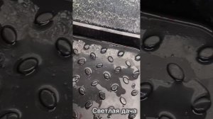 Полив петунии. Как минимизировать время на полив рассады петунии