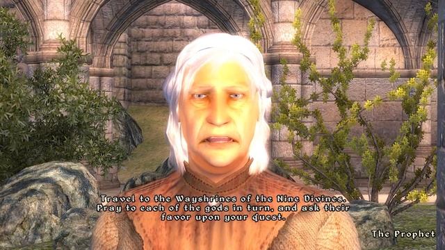 Finding Every Priestess SLAUGHTERED in Oblivion смотреть онлайн