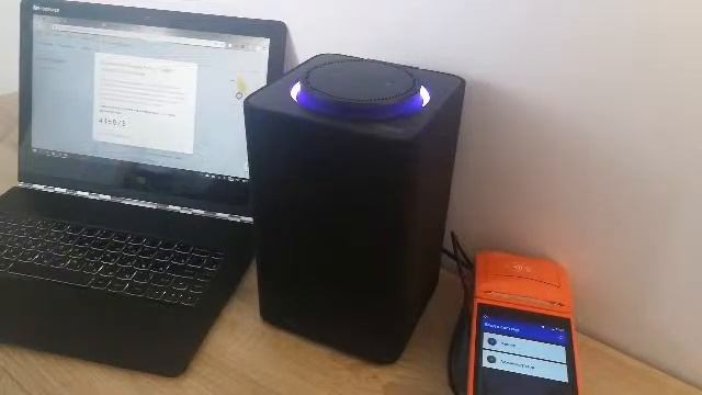 Умная колонка Яндекс.Алиса с навыком от МодульКассы смотреть онлайн