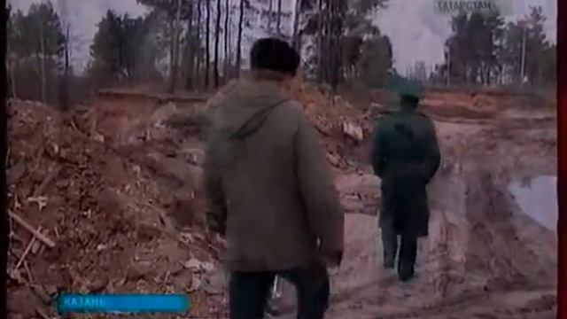 ГТРК Вырубка леса смотреть онлайн