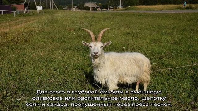 Уроки Живописи Маслом