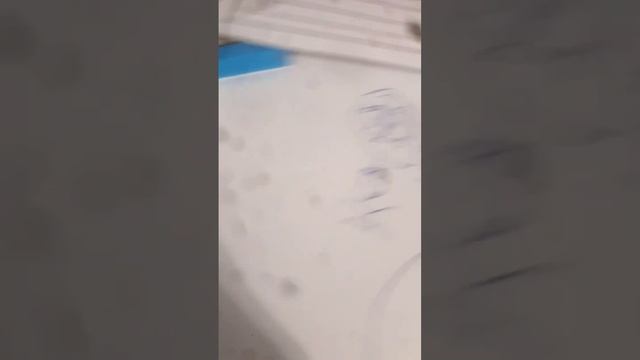 странная версия сказка о царе Салтане.(Первый отрывок) смотреть онлайн