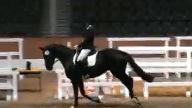 Donna Castania Mare performance test смотреть онлайн