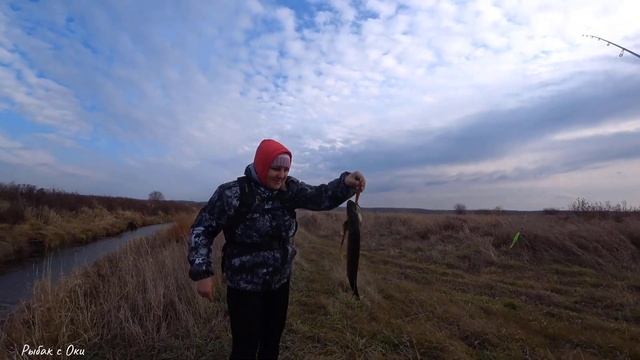 Екатерина ловит щуку на воблер! КАРАСЬ на ПОПЛАВОК! ЖИРНЫЕ ОКУНЯ на МИКРОДЖИГ! смотреть онлайн