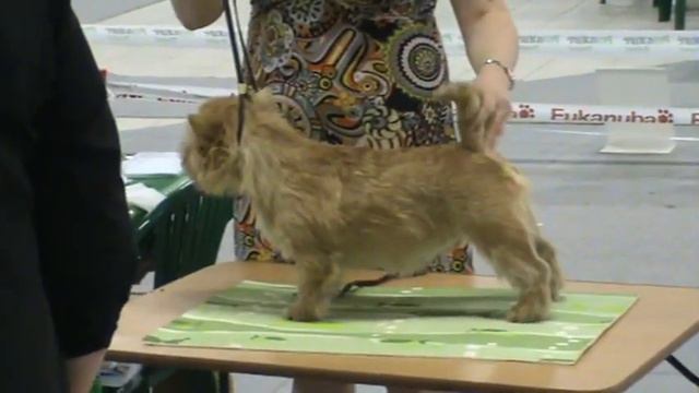 юниорки смотреть онлайн