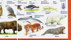 Окружающий мир. Рабочая тетрадь 4 класс 1 часть. ГДЗ стр. 35 №5