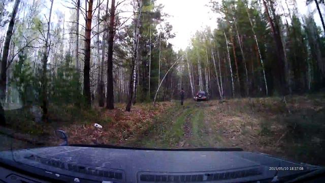 По лесу добрый человек смотреть онлайн