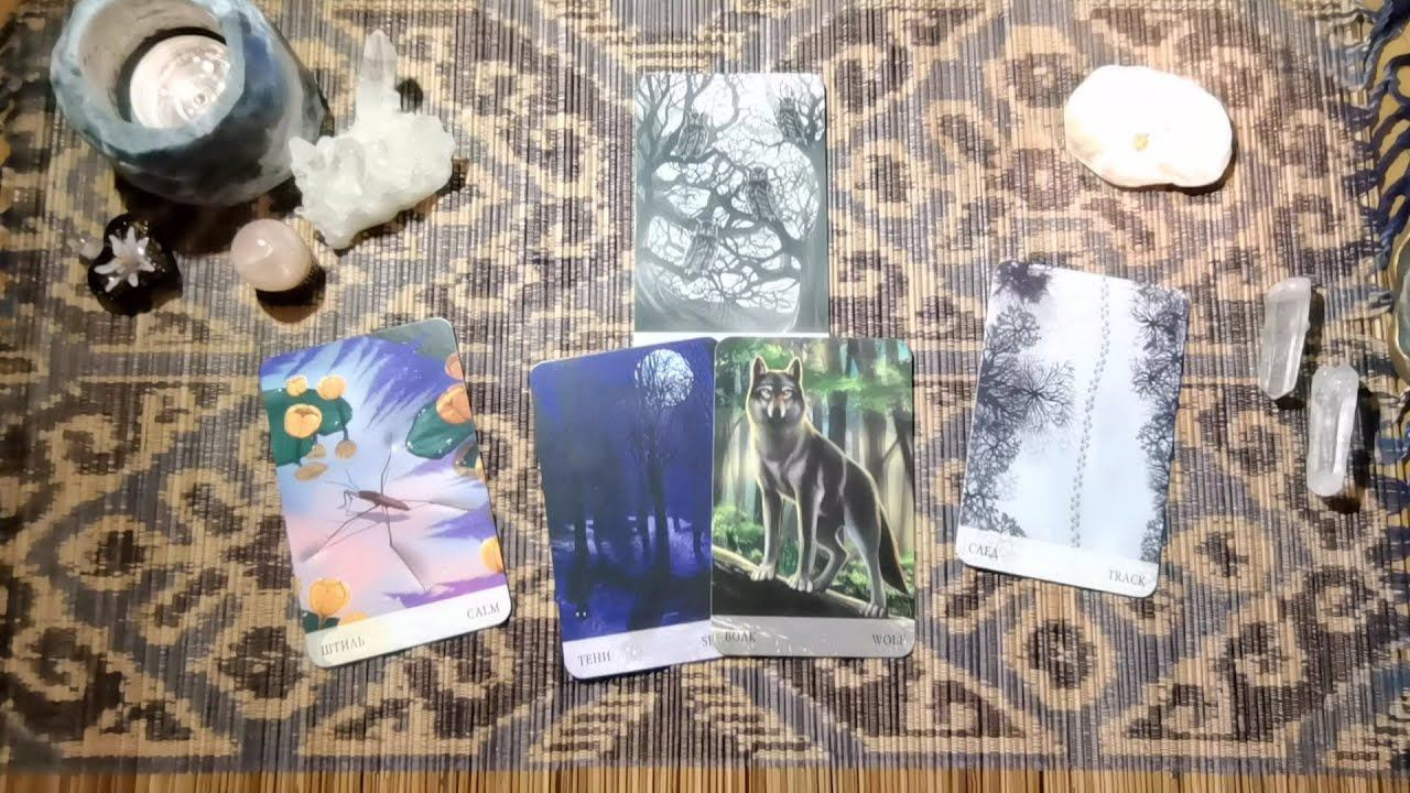 Иди через Лес. Онлайн расклад смотреть онлайн