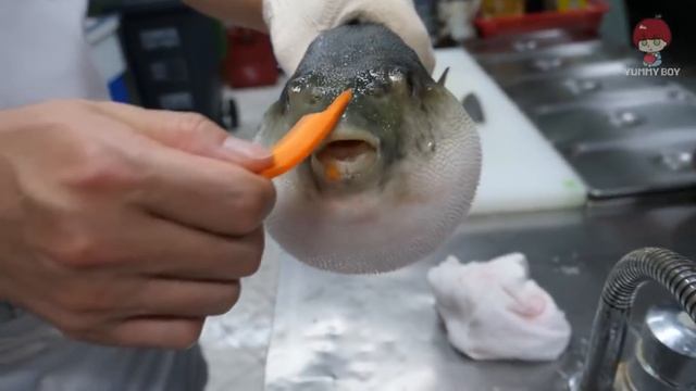 Рыба фугу ест морковь смотреть онлайн