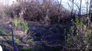 ОХОТА НА ФАЗАНА.mp4