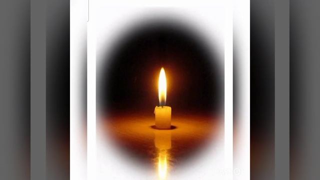 посвящается памяти Жульке из г. петушки Владимирской области