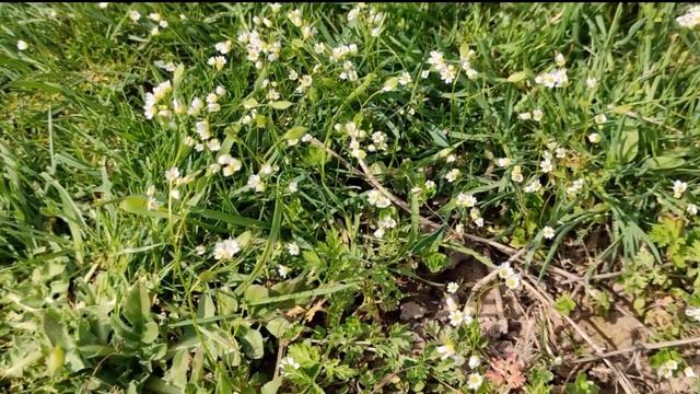 Только что сообщили. Сводка новостей смотреть онлайн