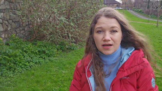 Карьера бухгалтера в Ирландии. Трудоустройство. Зарплата. Разрешение на работу. АССА. смотреть онлайн