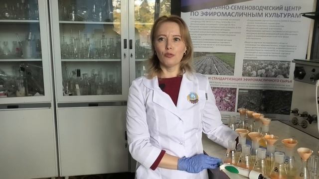 Тыква это не только ценный каротин смотреть онлайн