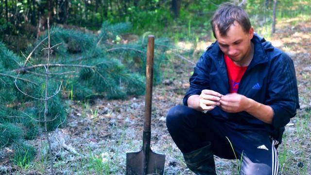 ПОИСК МОНЕТ В ЛЕСУ|ГОТОВИМ ЛЕТНИЙ САЛАТ|КАРТОФЕЛЬ В МУНДИРЕ смотреть онлайн
