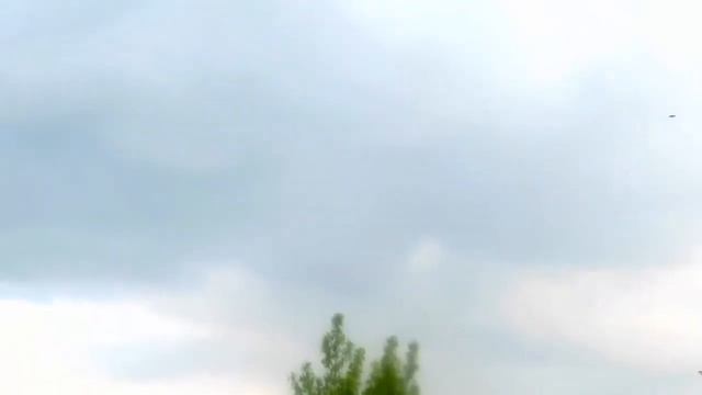 Почему ласточки перед дождем летают низко смотреть онлайн