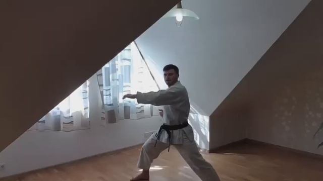 Каратэ для начинающих. Тренировки дома. 5 урок смотреть онлайн