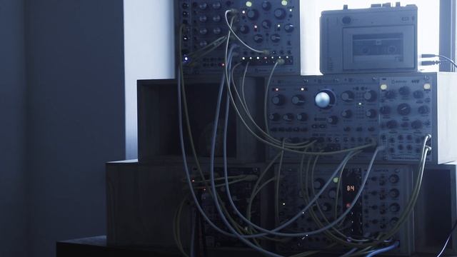 Ensemble Oscillator + Warps Mob of Emus + Beads Ambient / Cassette Tape Rings Plaits смотреть онлайн