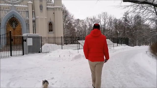 Прогулка с Бойсом в Петергофе смотреть онлайн