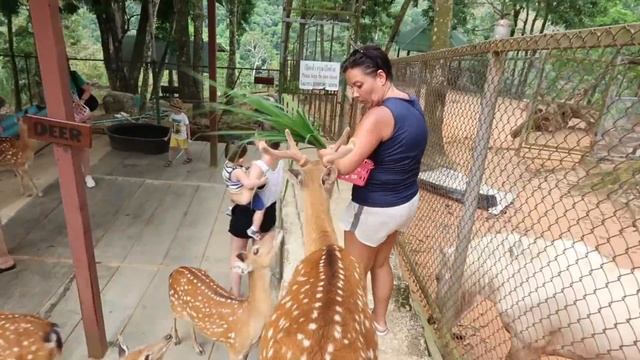 Paradise park fame Samui Парадайз парк Самуи, Тайланд 2019. Куда сводить ребенка на Самуи. смотреть онлайн