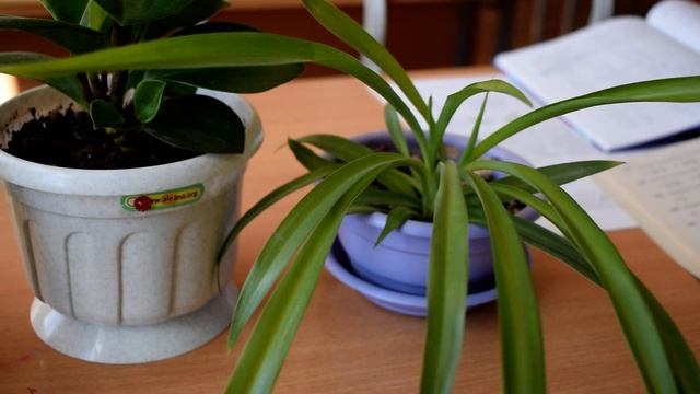 Гайдук А.Д. Панорама Nikon Digital Camera D5300