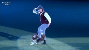 Freestyle dog Crufts 2020