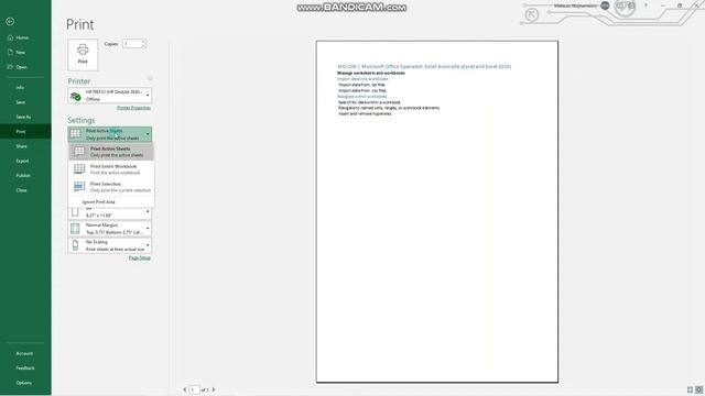 #4 How to format worksheets and workbooks in Excel | MO-200 MOS Excel Associate 2019 смотреть онлайн