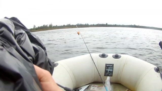 Ловля щуки в сентябре. Рыбалка в Эстонии. Suurjärv 2019 .