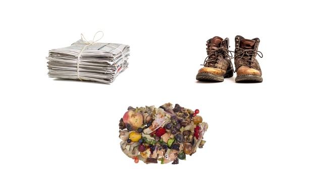 How to Get Rid of Booklice (Barklice, Psocids) [4 Easy Steps!] смотреть онлайн