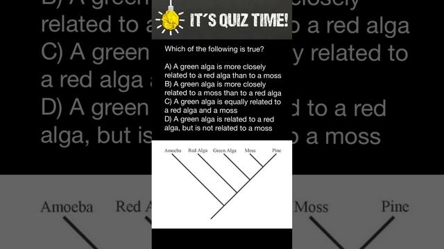 How to understand phylogenetic trees? смотреть онлайн