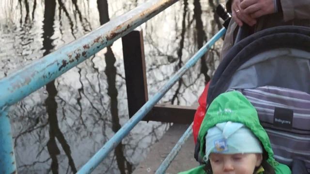 Что за удивительный городской зверь? Выдра? смотреть онлайн