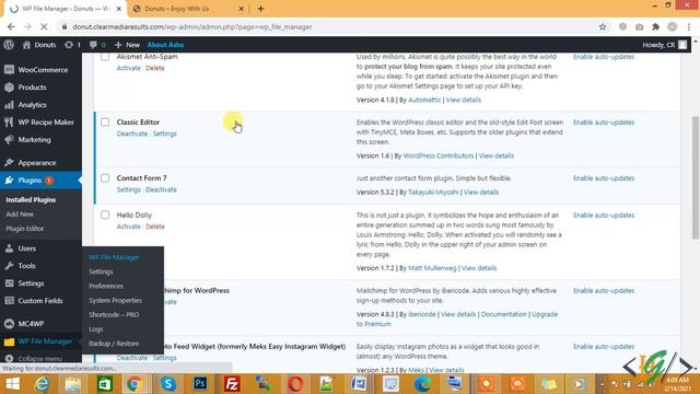 How to access wordpress website files without cpanel смотреть онлайн