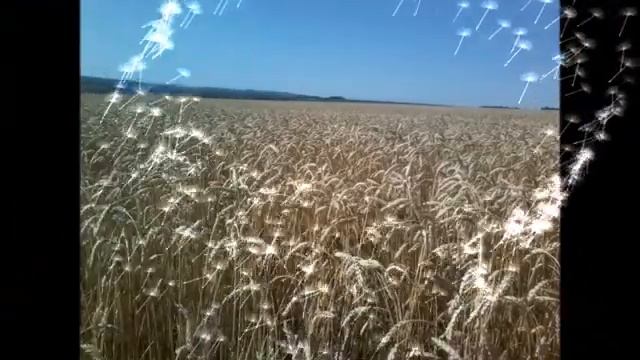 уборка урожая, в ольшанке смотреть онлайн